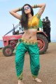 Tapasee Pannu Hot Spicy Pics