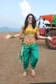 Tapasee Pannu Hot Spicy Pics