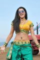 Tapasee Pannu Hot in Mogudu Movie