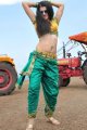 Tapasee Pannu Hot Spicy Pics