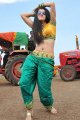 Mogudu Actress Tapasee Pannu Hot Gallery