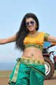 Tapasee Pannu Hot in Mogudu Movie