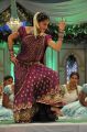 Mogudu Movie Actress Taapsee Pannu in Traditional Saree Photos