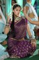 Mogudu Movie Actress Taapsee Pannu in Traditional Saree Photos