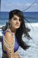 Tapasee Pannu Hot Spicy Pics