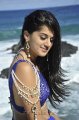 Tapasee Pannu Hot Spicy Pics