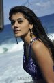 Tapasee Pannu Hot Spicy Pics