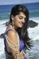 Tapasee Pannu Hot Spicy Pics