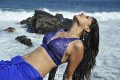 Tapasee Pannu Hot Spicy Pics