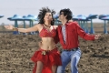 Ravi Teja Tapasee Pannu Veera Movie Latest Pictures