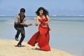 Ravi Teja Tapasee Pannu Veera Movie Latest Pictures