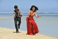 Ravi Teja Tapasee Pannu Veera Movie Latest Pictures