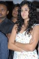 Actress Tapsee at Daruvu Audio Promotions