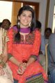 Telugu Actress Tapsee Latest Stills at Gundello Godari Success Meet