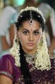 Tapsee Cute in Traditional Saree Pics