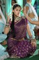 Tapsee Cute in Traditional Saree Pics