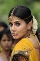 Tapsee Cute in Traditional Saree Pics