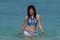 Tapsee Hot Wet Spicy Pics in Daruvu Movie