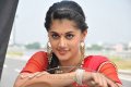 Tapasee Pannu in Red Saree Stills