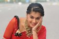 Cute Tapsee Latest Pics in Red Saree