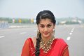 Cute Tapsee Latest Pics in Red Saree