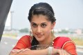 Cute Tapsee Latest Pics in Red Saree