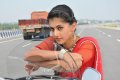 Telugu Actress Tapsee Hot Pics in Red Saree