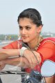 Actress Tapsee in Red Saree Pics