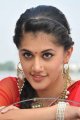 Cute Tapsee Latest Pics in Red Saree