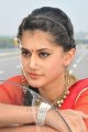 Tapasee Pannu in Red Saree Stills