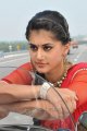 Tapasee Pannu in Red Saree Stills