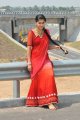 Tapasee Pannu in Red Saree Stills