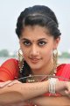 Cute Tapsee Latest Pics in Red Saree