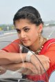 Cute Tapsee Latest Pics in Red Saree