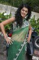 Shadow Movie Heroine Tapsee Hot Transparent Saree Stills