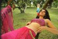 Tapsee Hot Photos in Mogudu