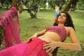 Tapsee Hot Saree Pics