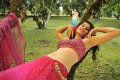 Tapsee Hot Saree Pics