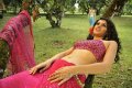 Tapsee Hot Photos in Mogudu