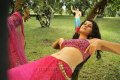 Tapsee New Hot Stills