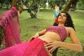 Tapsee Hot Saree Pics