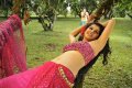 Tapsee Hot Photos in Mogudu