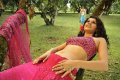 Tapsee Hot Photos in Mogudu