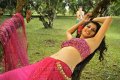 Tapsee Hot Photos in Mogudu