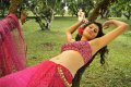 Tapsee Hot Saree Pics