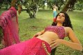 Tapsee Hot Photos in Mogudu