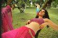 Tapsee Hot Saree Pics