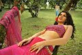 Tapsee New Hot Stills