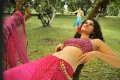 Tapsee Hot Photos in Mogudu