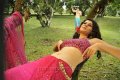 Tapsee New Hot Spicy Stills